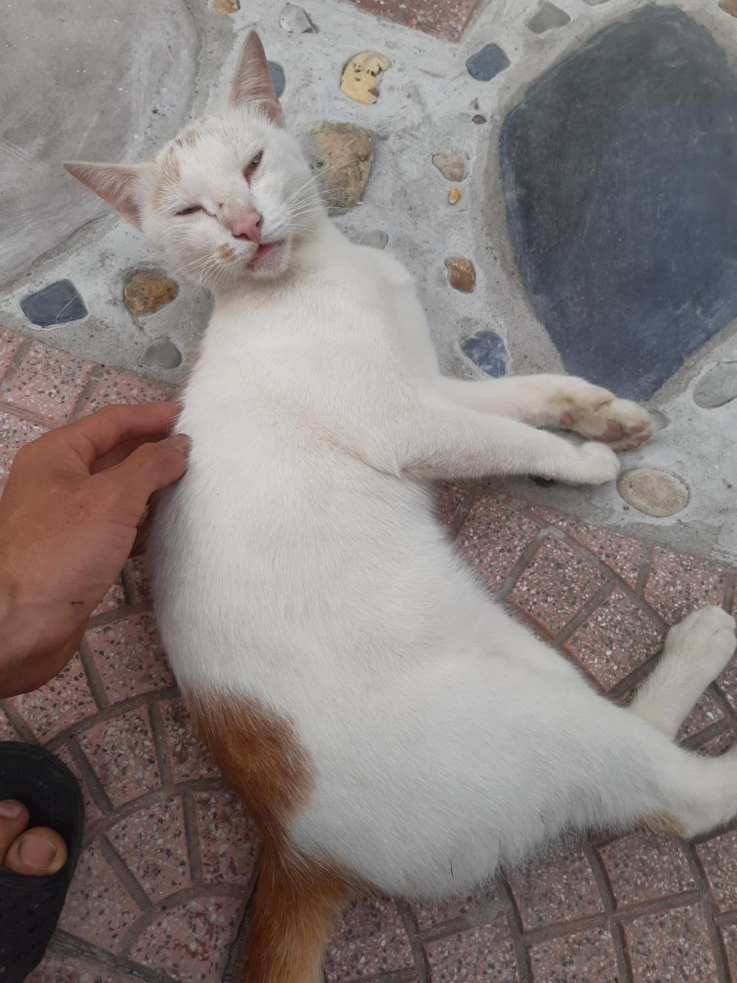 Central Hills Cat Ba Xuan Dam Εξωτερικό φωτογραφία