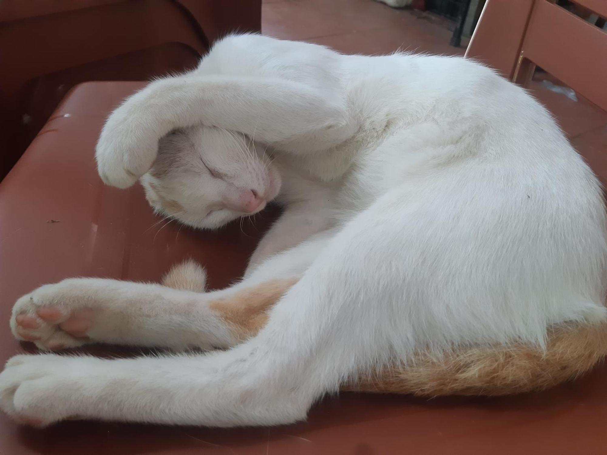 Central Hills Cat Ba Xuan Dam Εξωτερικό φωτογραφία